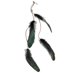 Peříčka do vlasů na klip