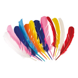 Sada 12 peříček 30 cm