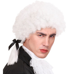 Paruka pánská historická Mozart bílá