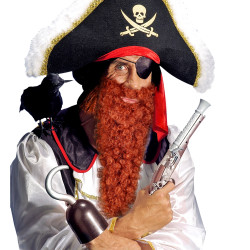 Vousy zrzavé dlouhé