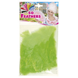 Peříčka zelená dekorativní 50 ks