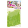 Peříčka zelená dekorativní 50 ks