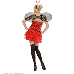 Dámský kostým beruška velikost M