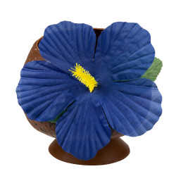 Kokosový pohár s květem