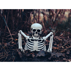 Dekorace vylézající kostra 20 cm