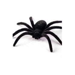 6 černých sametových pavouků