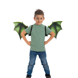 Dětská dračí křídla