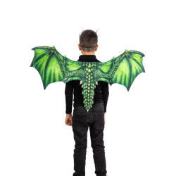 Dětská sada zeleného draka