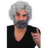 Pánská šedivá paruka s plnovousem