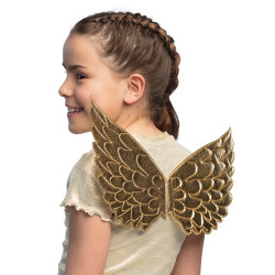 Zlatá andělská křídla