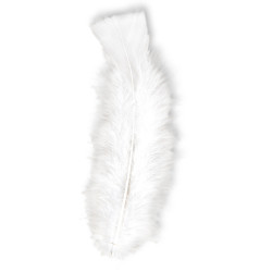 Peříčka bílá dekorativní 50 ks