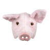 Polomaska prase