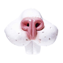 PVC čumák králíček