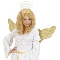 Andělská křídla zlatá plastová