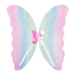 Motýlí křídla duhová