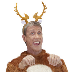 Sobí parohy na čelence