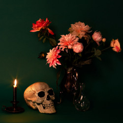 Dekorace lebka s pohyblivou čelistí 24 cm