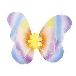 Motýlí křídla 40 x 50 cm