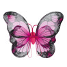 Křídla motýlí 50 x 37 cm