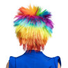 Paruka Punky duha