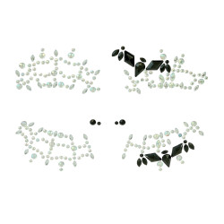 Nalepovací kamínky na obličej čarodějnice