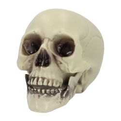 Dekorační lebka (15 x 20 x 16 cm)