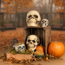 Dekorační lebka (15 x 20 x 16 cm)