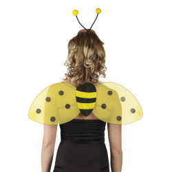 Sada krídel a tykadiel včiel