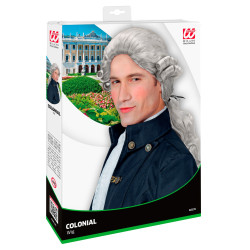 Paruka pánská historická šedivá