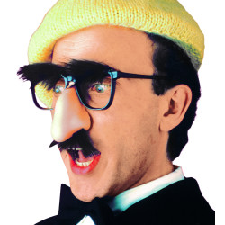 Brýle s nosem knírem a obočím