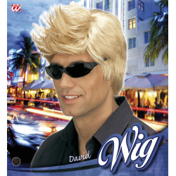 Paruka pánská David