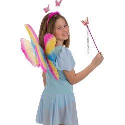 Sada motýľov dúha