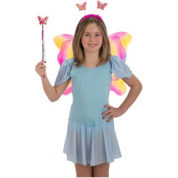 Sada motýľov dúha