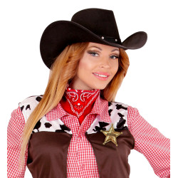 Autentická šerifská hvězda