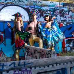 Motýlie krídla 83 x 140