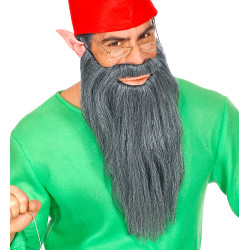 Dlouhé šedivé vousy s knírem