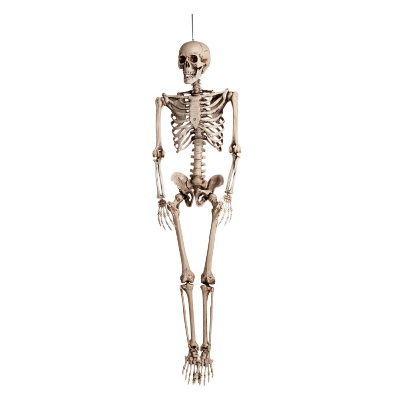 Skeleton dekorácia na zavesenie, 160 cm