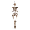 Skeleton dekorácia na zavesenie, 160 cm