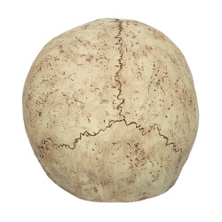 Latexová maska lebka