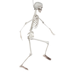 Dekorace kostra na zavěšení 91 cm