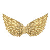 Zlaté anjelské krídla
