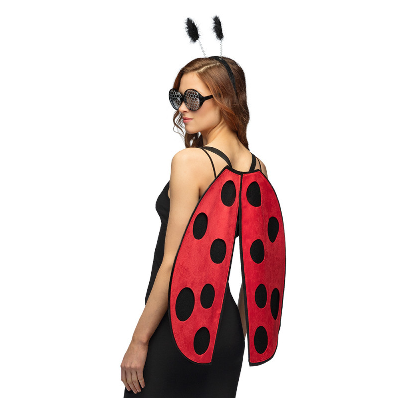 Souprava beruška křídla, brýle a tykadla