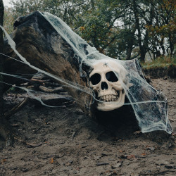 XXL bílá pavučina s 25 pavouky 0,5 kg