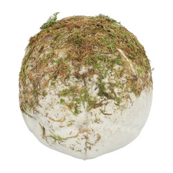 Lebka z močiaru (14,5 x 12 x 19 cm)