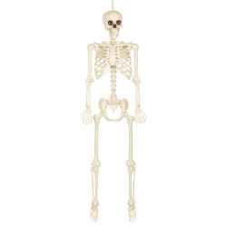 Dekorace skeleton na pověšení 160 cm