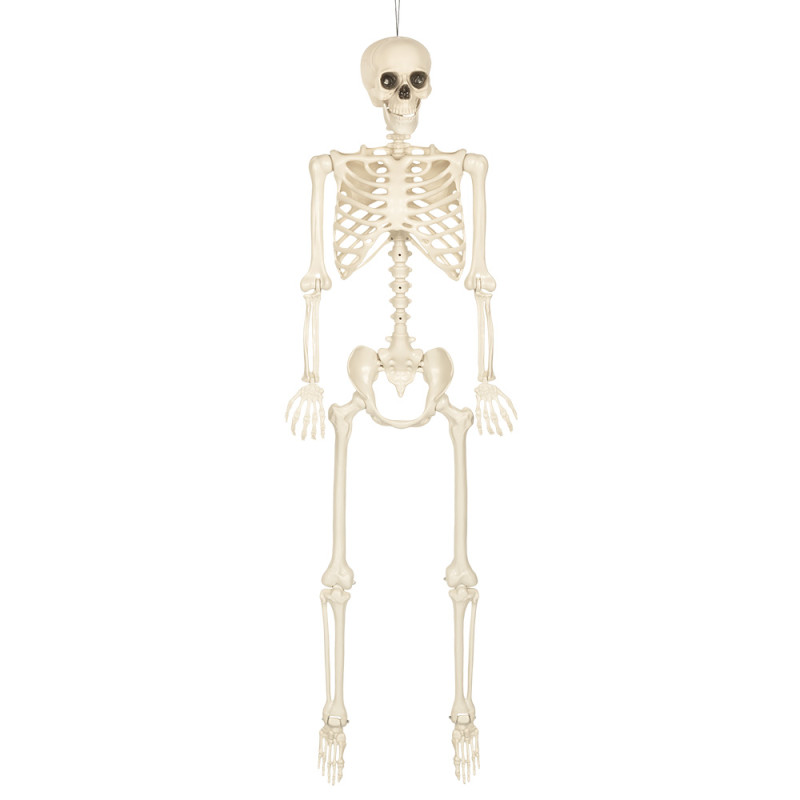 Dekorace skeleton na pověšení 160 cm