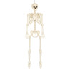Dekorace skeleton na pověšení 160 cm