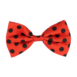 Sada Ladybird (podväzky, okuliare a motýlik)