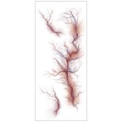Tetovanie žily 30x13 cm