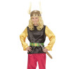 Paruka a knírek Asterix dětská